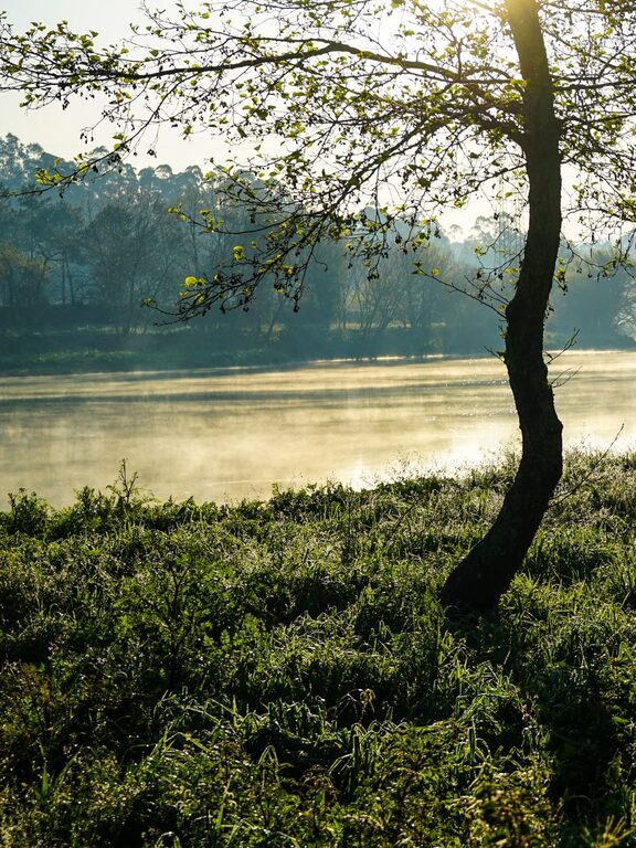 Ideas for Peaceful Weekend Mornings to Refresh Your Week